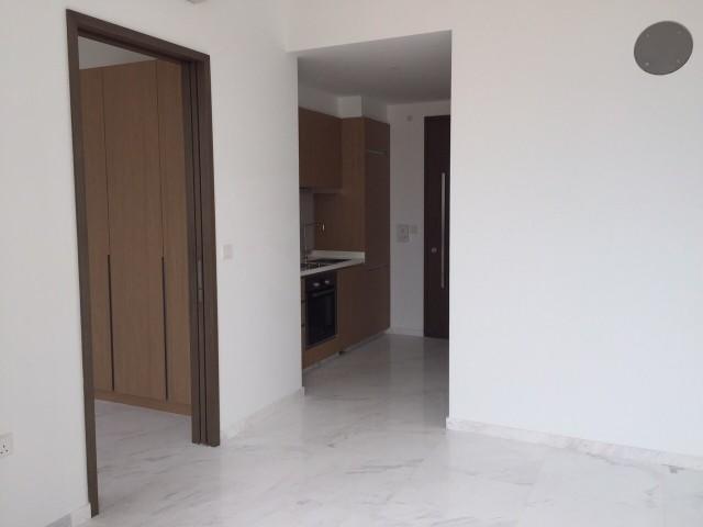 Spottiswoode 18 thumbnail photo